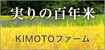 ̕SN KIMOTOt@[